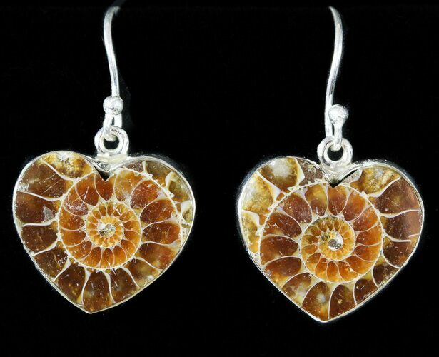 Fossil Ammonite Earrings - Sterling Silver #48747
